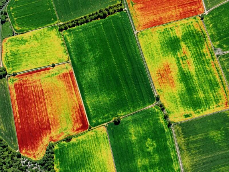 Vegetationsmonitoring (NDVI)